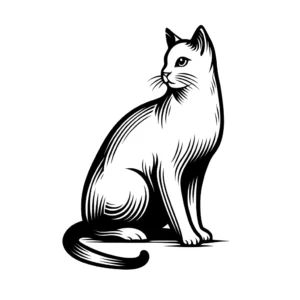 Cat sitting