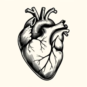 Heart