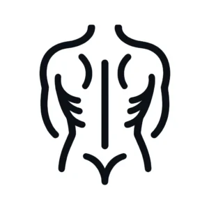 back icon