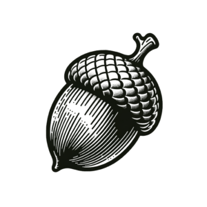 Acorn In Simple Style