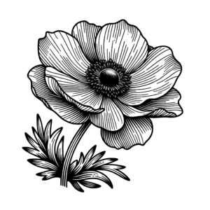 Anemone In Realism Lines