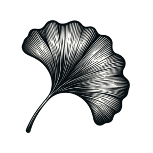 Blackwork Tattoo Of A Ginkgo Leaf