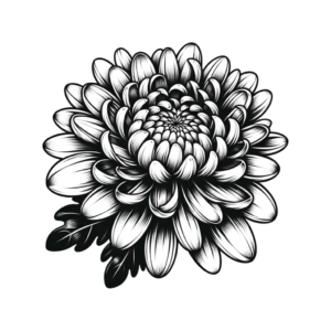 Chrysanthemum In A Realism Tattoo Style