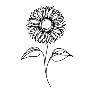 Continuous-Line Sunflower With A Stem