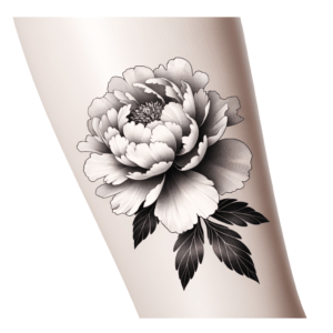 Delicate Peony Flower With Detailed Petals