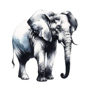 Elephant Depicted In A Watercolor Tattoo