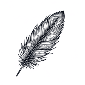 Feather Illustrated In Delicate Fine Lines