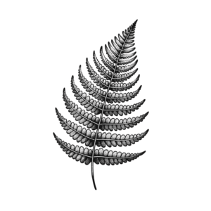 Fern Frond Depicted In A Dotwork Tattoo