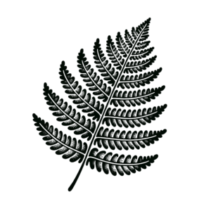 Fern Leaf Depicted In A Blackwork Tattoo