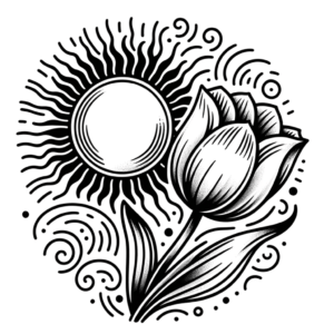 Fine Line Tulip And Sun