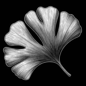 Ginkgo Leaf In Japanese Lines