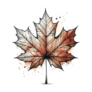 Maple Leaf In Watercolor Lines