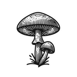 Mushroom In Stick And Poke Tattoo Style