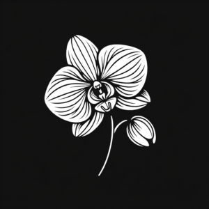 Orchid In Simple Lines