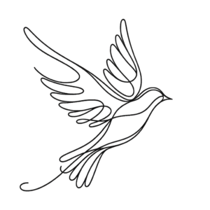 Single Continuous Line Bird In Flight