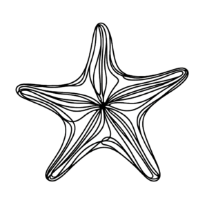 Single Continuous Line Starfish