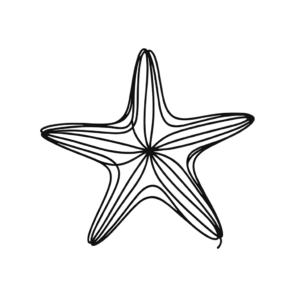 Single Continuous Line Starfish