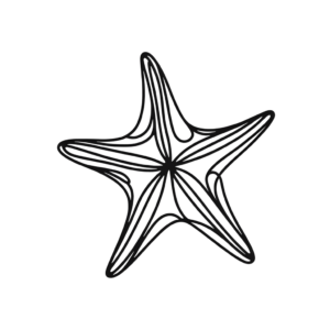 Single Continuous Line Starfish