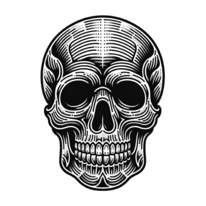 Skull In American Traditional Lines