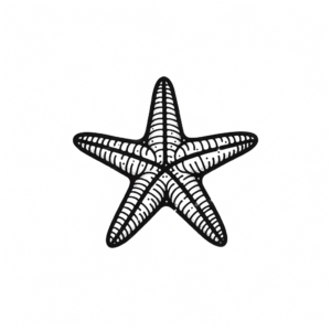 Stick And Poke Tattoo Design Of A Starfish