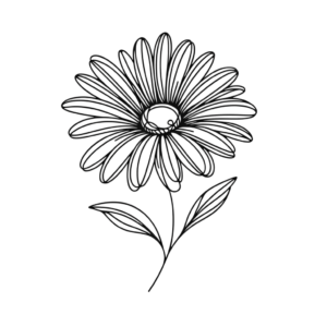 Sweet Single Line Daisy