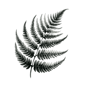 Watercolor Tattoo Of A Fern