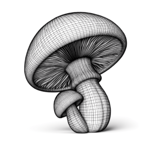 3D Mushroom With Realistic Depth And Shading