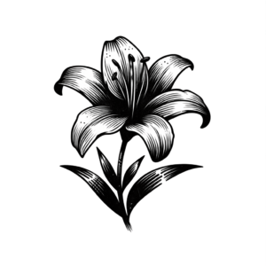 Artisan Lily With Hand-Drawn Look