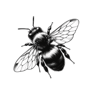 Bee With Delicate Wings, Tiny