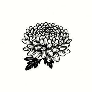 Chrysanthemum In Minimalist Design