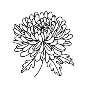 Chrysanthemum In Single Continuous-Line Style