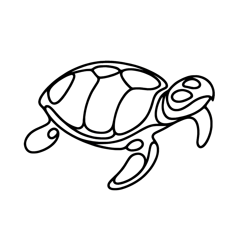 Continuous Line Turtle With Fluid, Unbroken Line