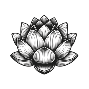 Cute Lotus Flower With Rounded Petals