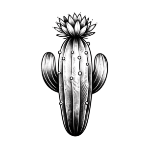 Feminine Cactus With Delicate Features