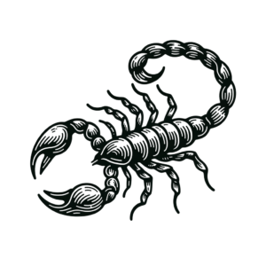 Fine Line Scorpio With Delicate Details