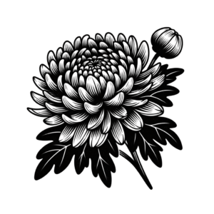 Flash Style Chrysanthemum With Classic Tattoo Look