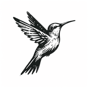 Hummingbird In A Sketchy Style With Rough Lines
