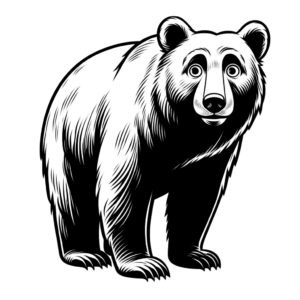 Ignorant Style Bear With Quirky Look