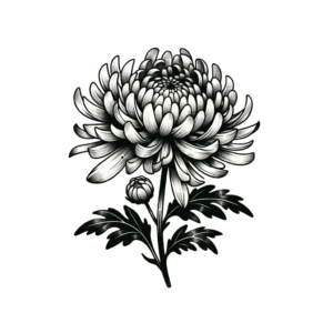 Ignorant Style Chrysanthemum With Bold Lines