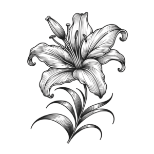 Linework Lily With Complex, Detailed Lines