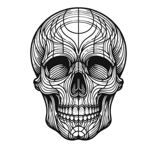 Linework Skull With Crisp Lines