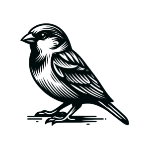 Masculine Sparrow With Strong Lines