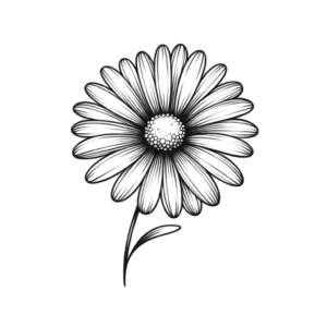 Minimalist Daisy Outline