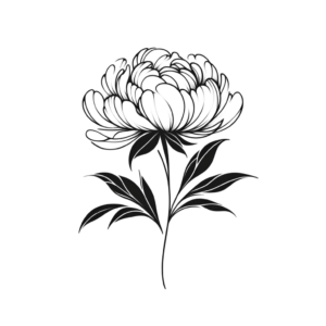 Minimalist Peony With Few Strokes