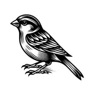 Old-School Sparrow With Classic Tattoo Look