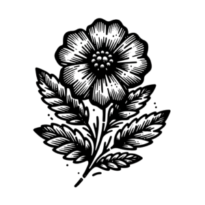 Rough Sketchy Flower Appearance