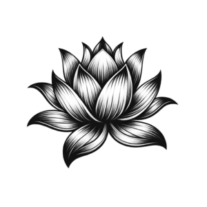 Sexy Lotus With Flowing Form