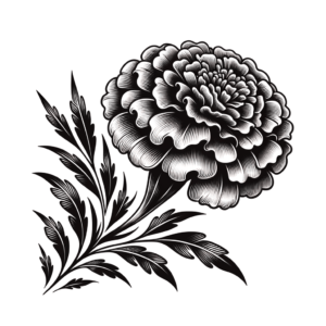 Sexy Marigold With Elegant, Curvy Design