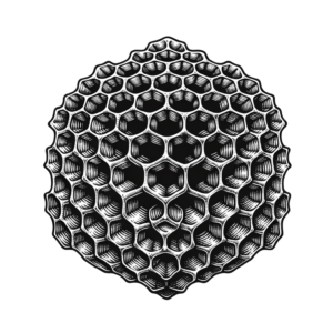 Simple Honeycomb With Basic Design