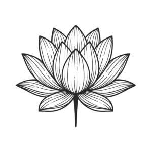Simple Lotus With Minimal Lines